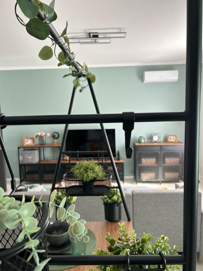 米什科尔茨Sophie'S Urban Nest公寓 外观 照片